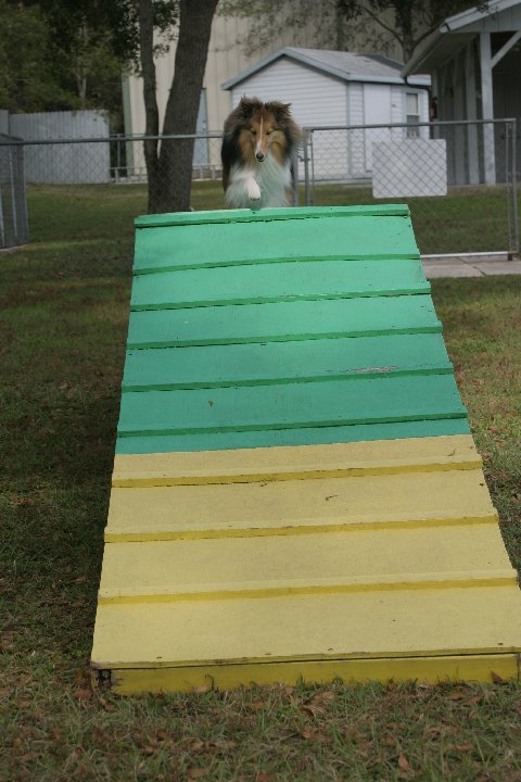 agility-2